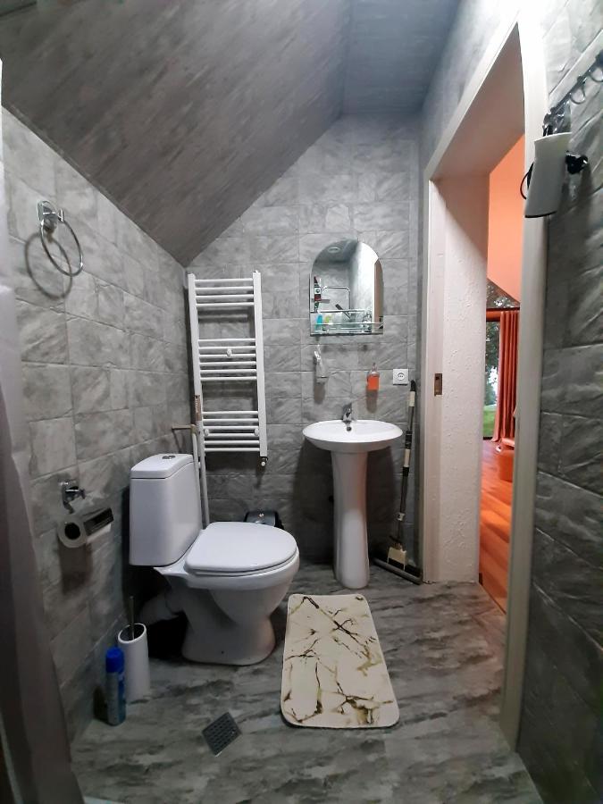 Kazbegi Cottages Qabarjina エクステリア 写真