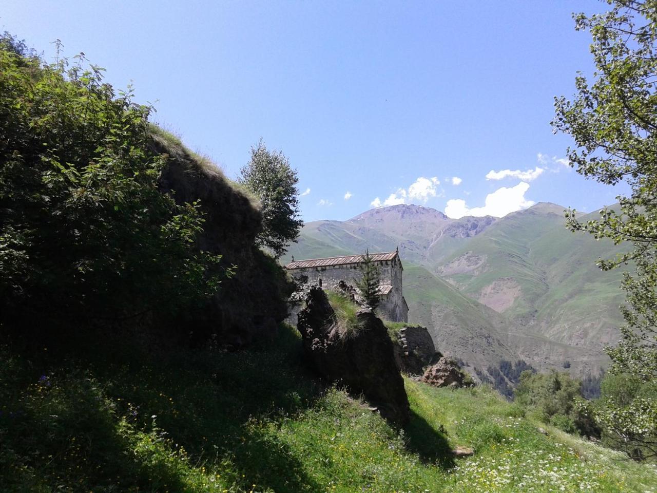 Kazbegi Cottages Qabarjina エクステリア 写真